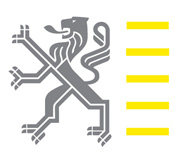 Vlaamse overheid / Vlaamse leeuw (logo)