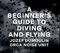A beginner's guide to diving and flying