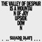 The Valley of Despair is a Mountain of Joy Upside Down